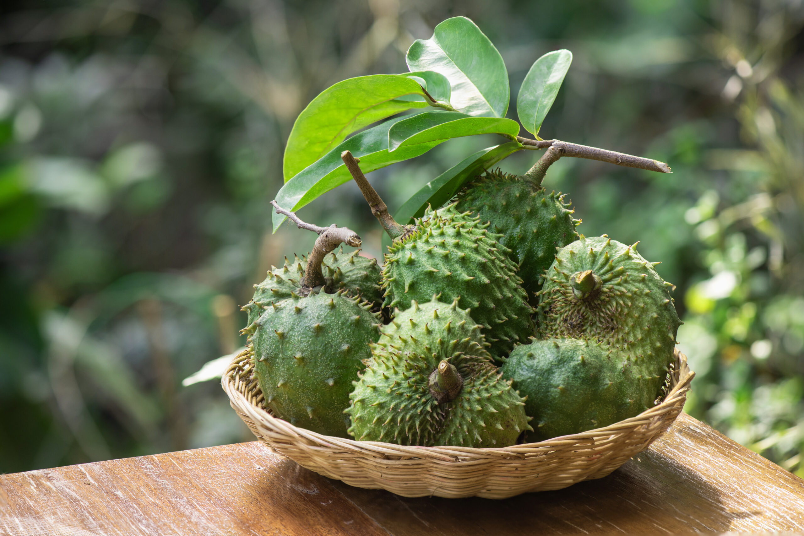 Soursop anti-cancer solution