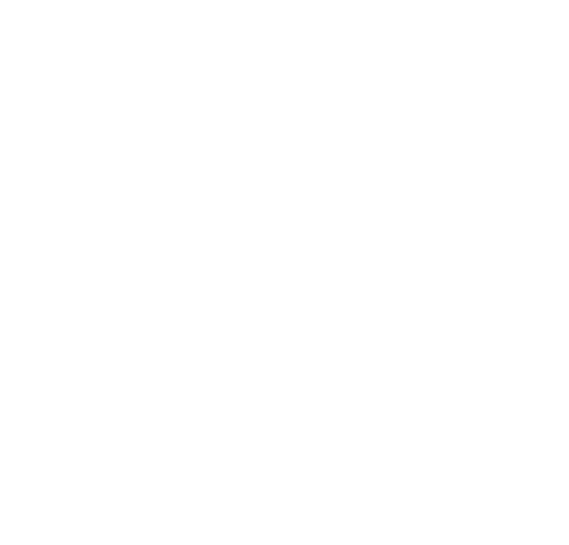 Ever-white-logo