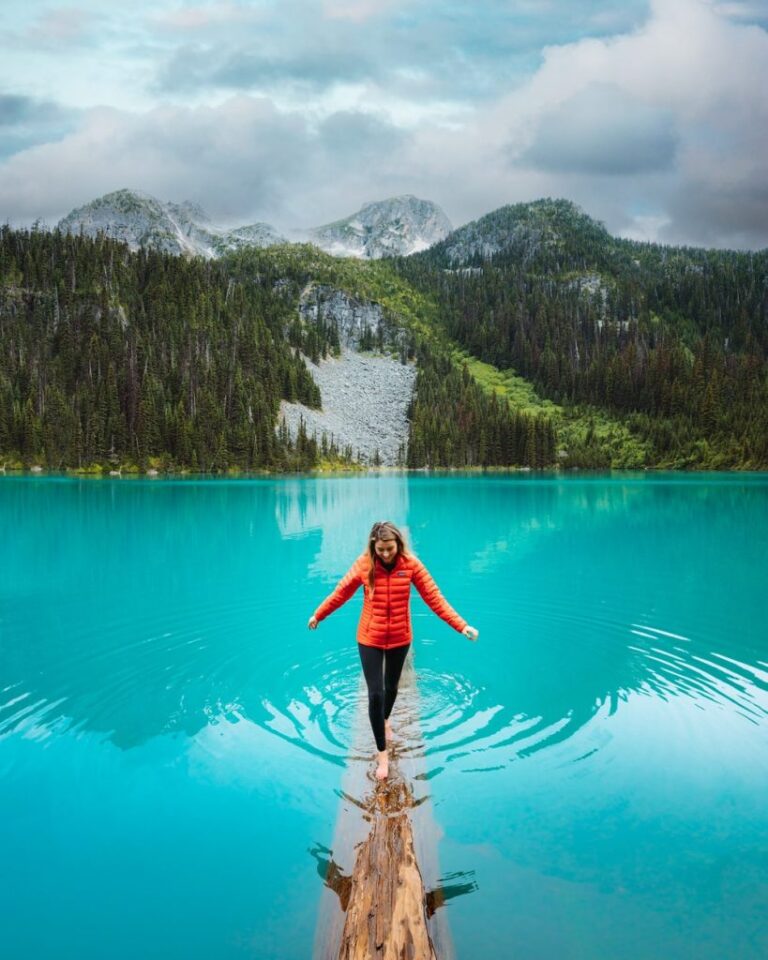 Joffre-Lakes-Hiking-and-Camping-Guide-Log-at-Middle-Joffre-Lake-819x1024