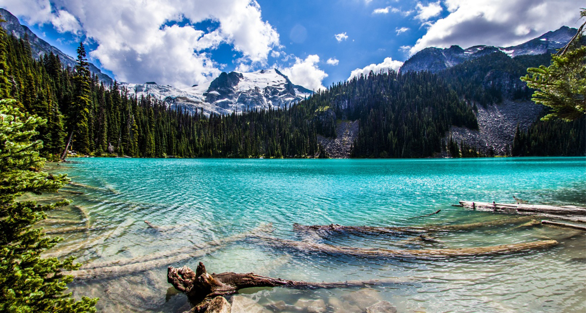 Joffre-Lakes-Hiking-and-Camping-Guide-Log-at-Middle-Joffre-Lake